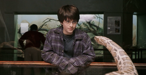 Harry Potter BlogHogwarts Cosas Muggle (1)