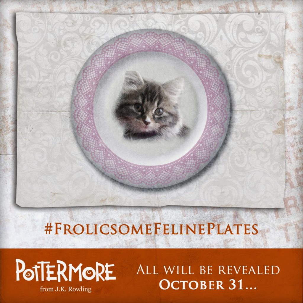Harry Potter BlogHogwarts Plato Gato Dolores Umbridge (1)
